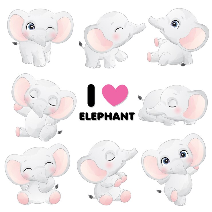 Vector cute little elephant poses with watercolor illustration