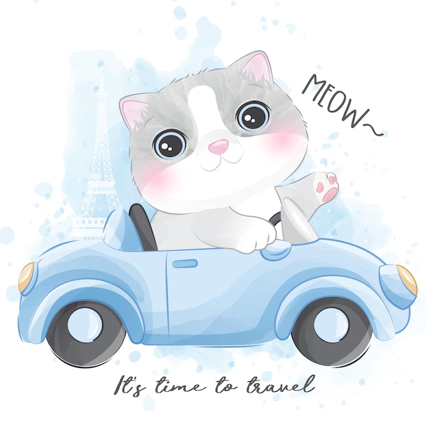 Cute little kitty riding a car