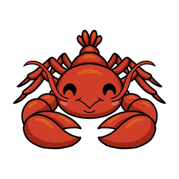 Vector cute little lobster cartoon character