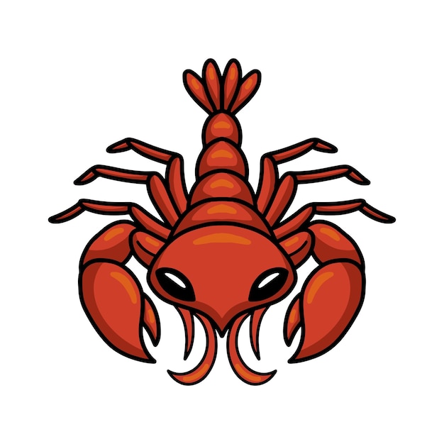 Cute little lobster cartoon character