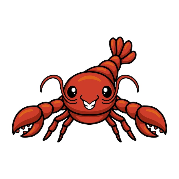 Cute little lobster cartoon character