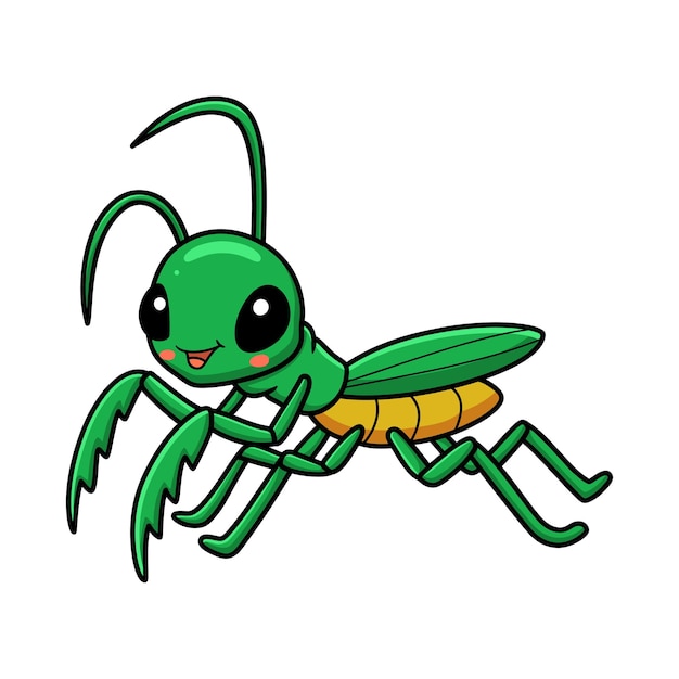 Cute little mantis cartoon character