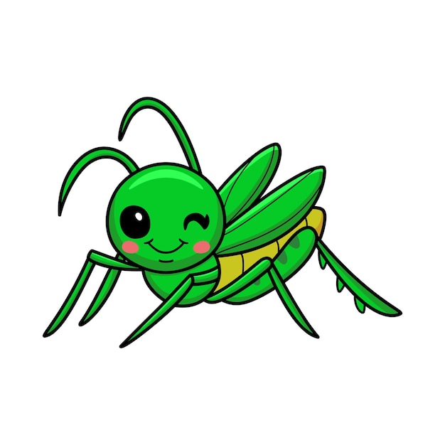 Cute little mantis cartoon character