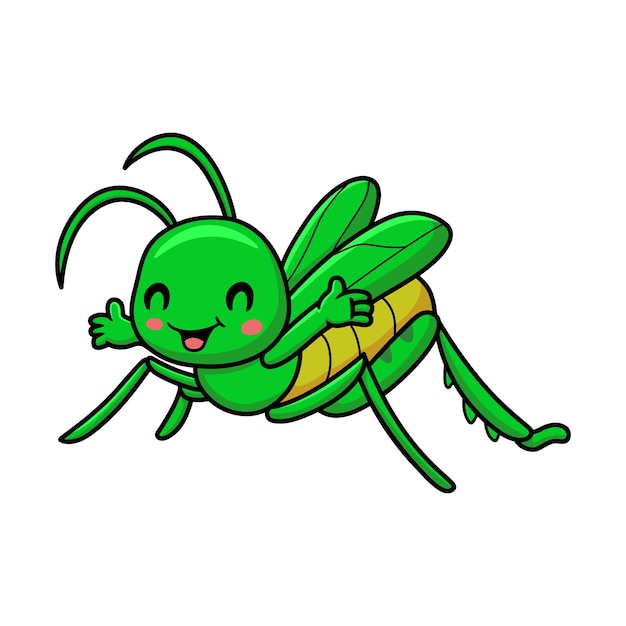 Cute little mantis cartoon character