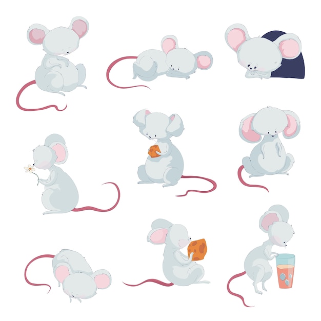 Cute little mice in different situations