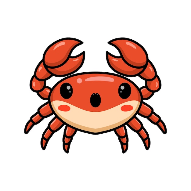 cute little orange crab cartoon  