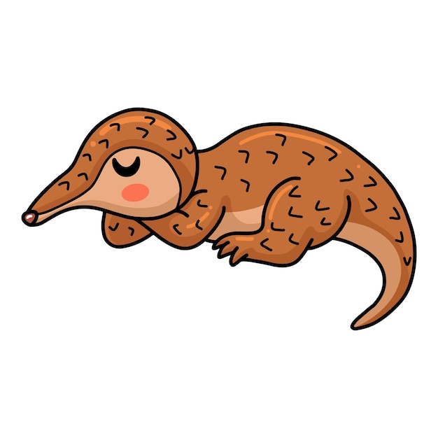 Vector cute little pangolin cartoon sleeping