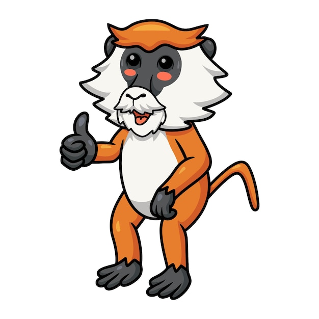 Cute little patas monkey cartoon giving thumb up