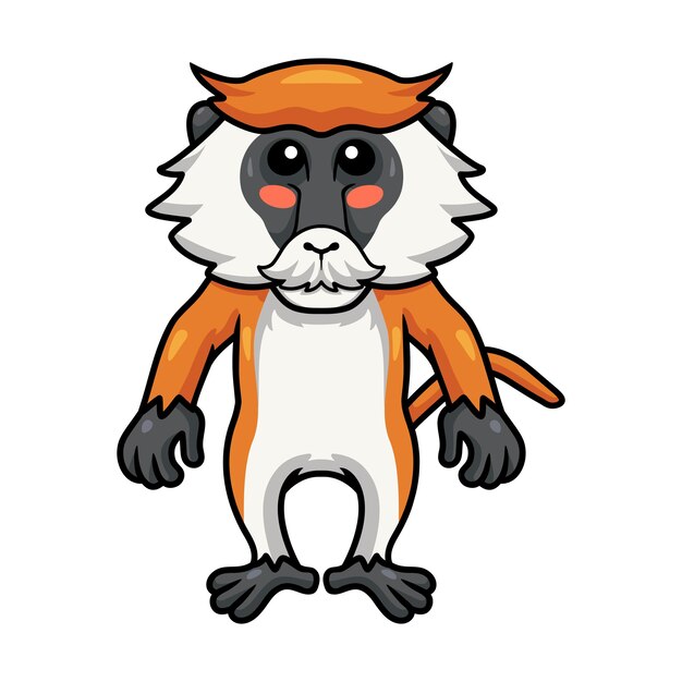 Cute little patas monkey cartoon standing