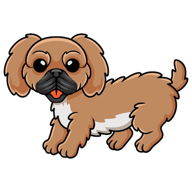 Vector cute little pekingese dog cartoon