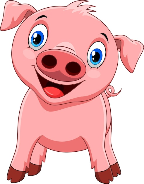 Cute little pig cartoon on white background