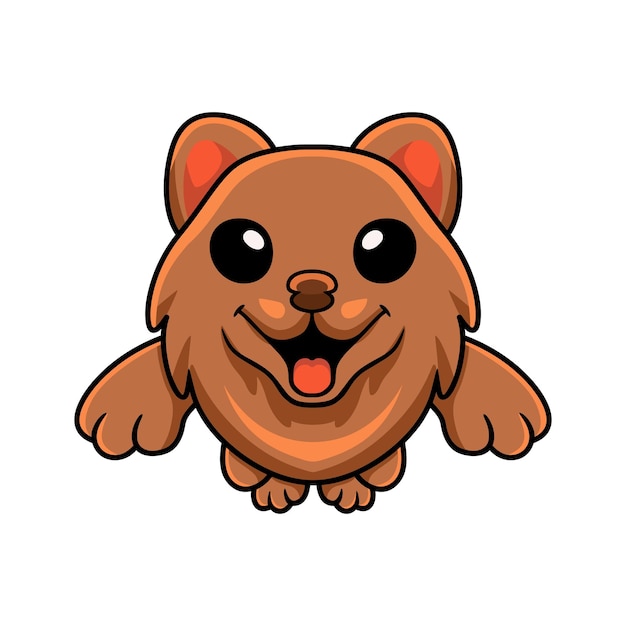 Cute little pomeranian dog cartoon jumping