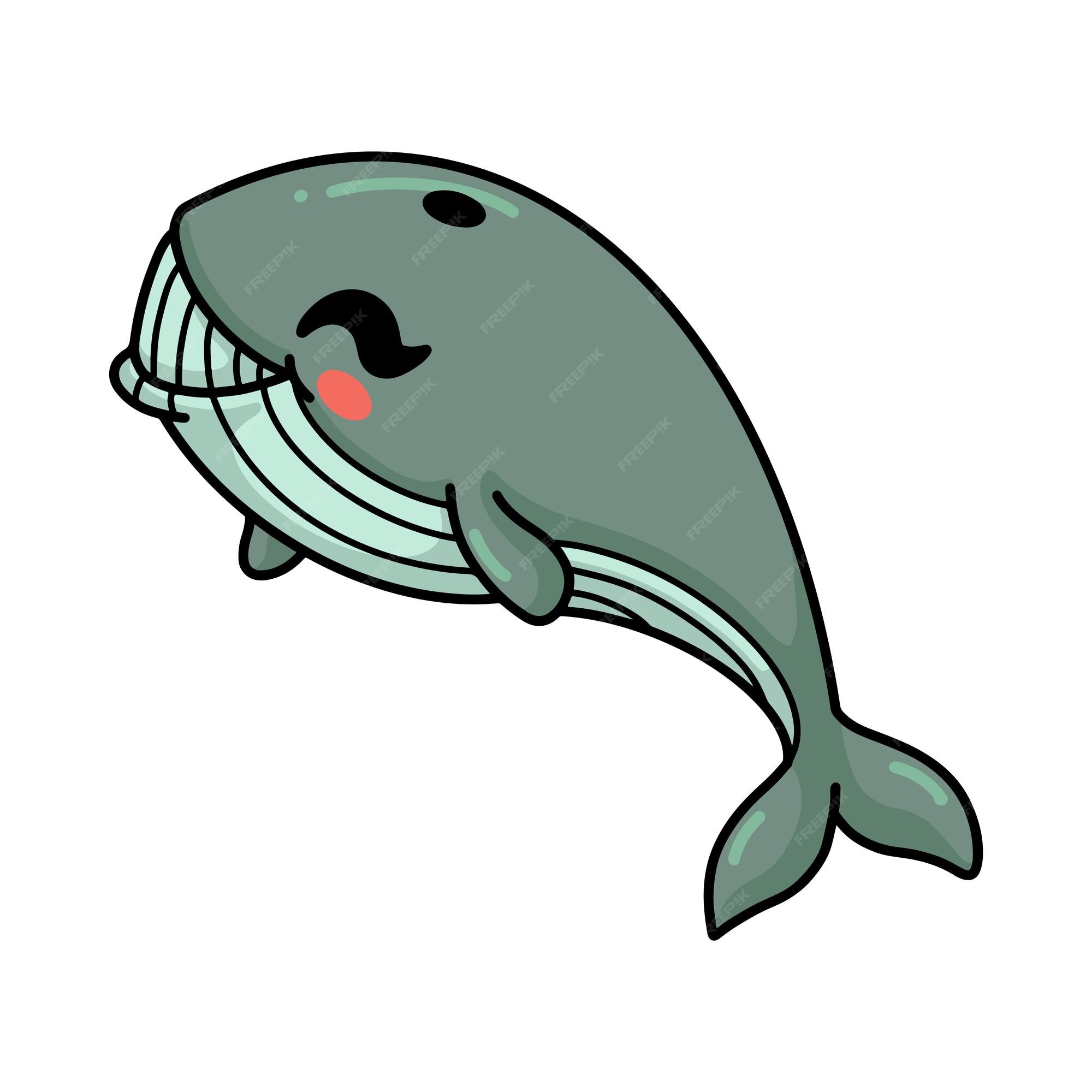 Premium Vector | Cute little whale cartoon swimming Premium Vector | Cute little whale cartoon swimming