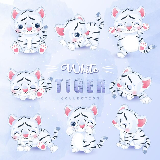 Cute little white tiger collection set