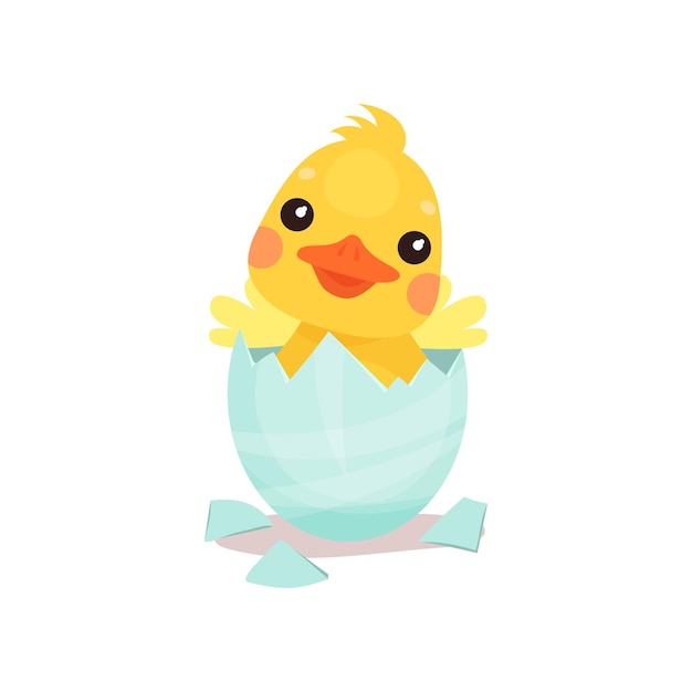 Cute little yellow duck chick character hatching from the egg cartoon vector Illustration on a white background