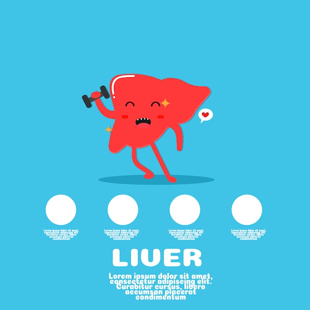 Vector cute liver cartoon vector.human organ concept