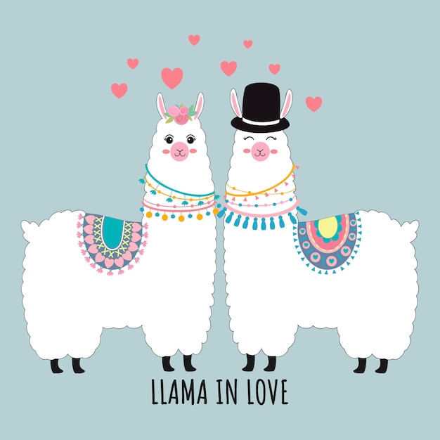 Vector cute llama couple in love valentin's card