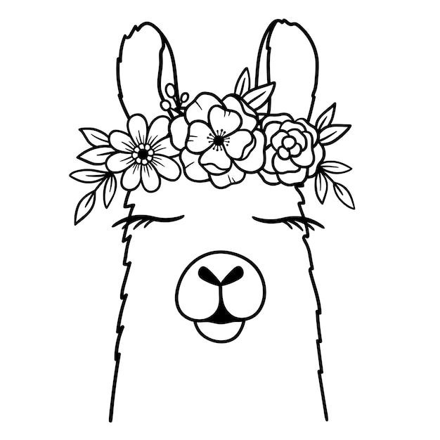 Vector cute llama line art llama with flower crown llama sketch vector illustration