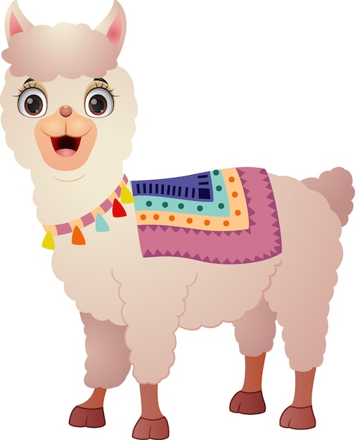 Vector cute llama on white background