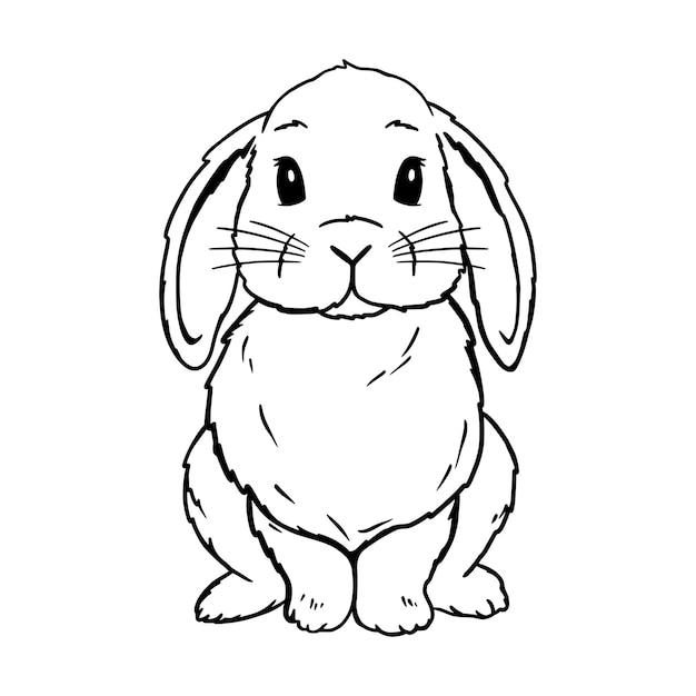Cute Lop Rabbit Line Art. Bunny sketch vector illustration. Coloring pages for children.
