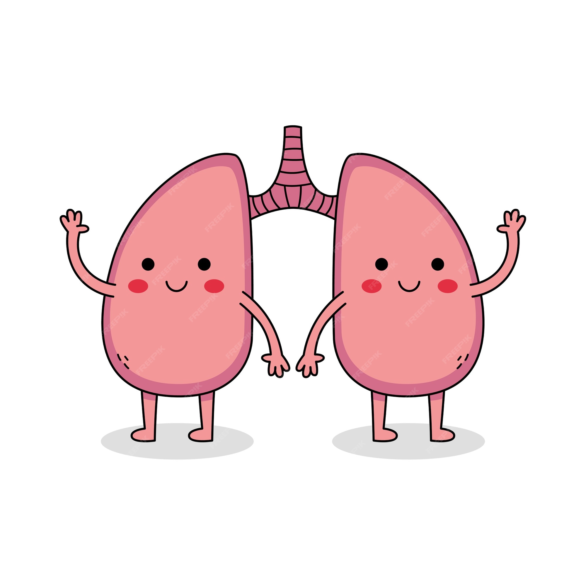 Premium Vector | Cute lung cartoon character Premium Vector | Cute lung cartoon character
