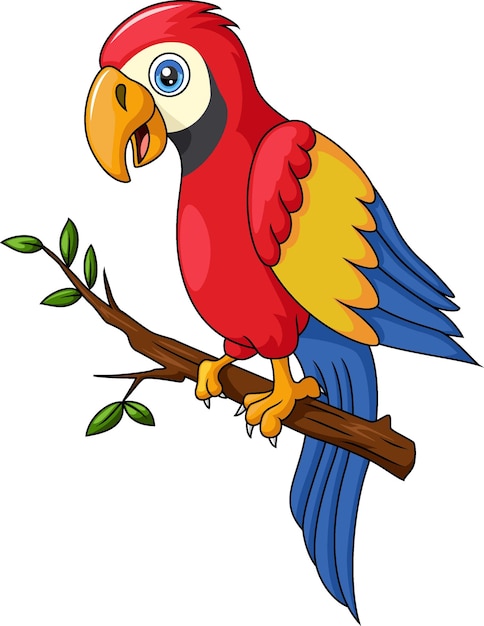 Cute macaw cartoon on tree branch