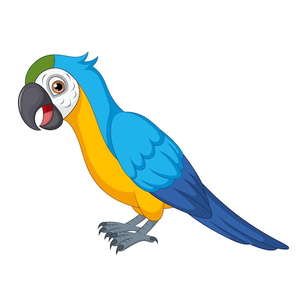 Vector cute macaw cartoon on white background