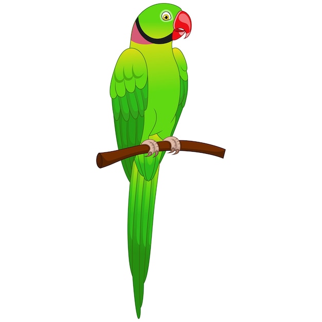 Cute macaw parrot cartoon on tree branch