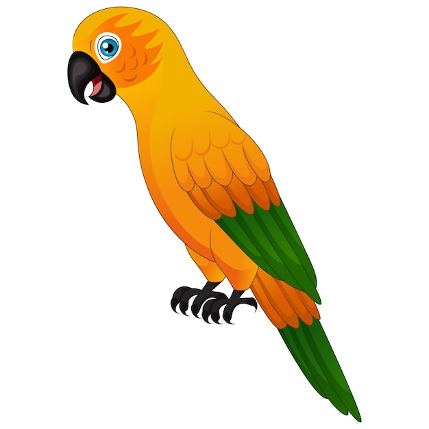 Vector cute macaw parrot on white background