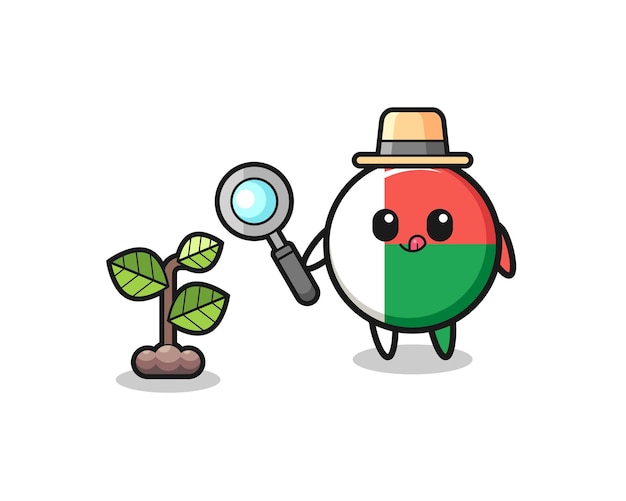 cute madagascar flag herbalist researching a plants
