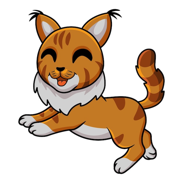 Cute maine coon cat cartoon