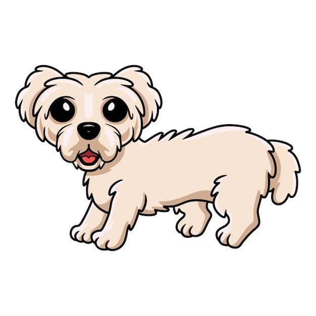 Cartone animato carino cucciolo di cane maltese