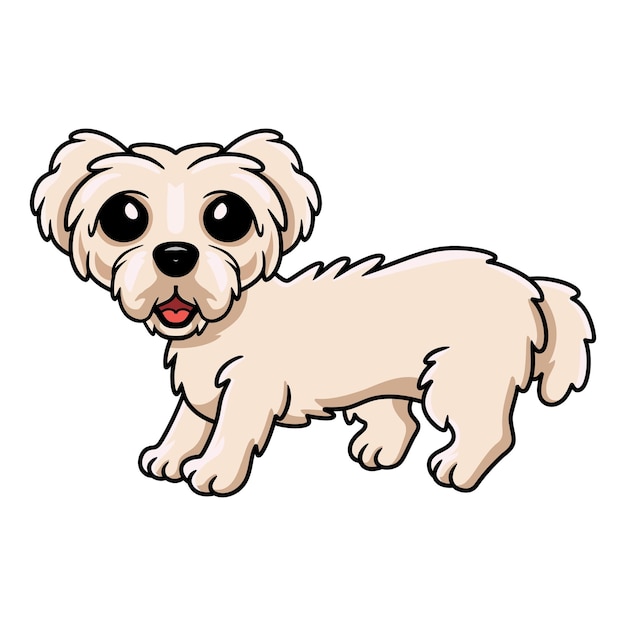 Cute maltese puppy dog cartoon