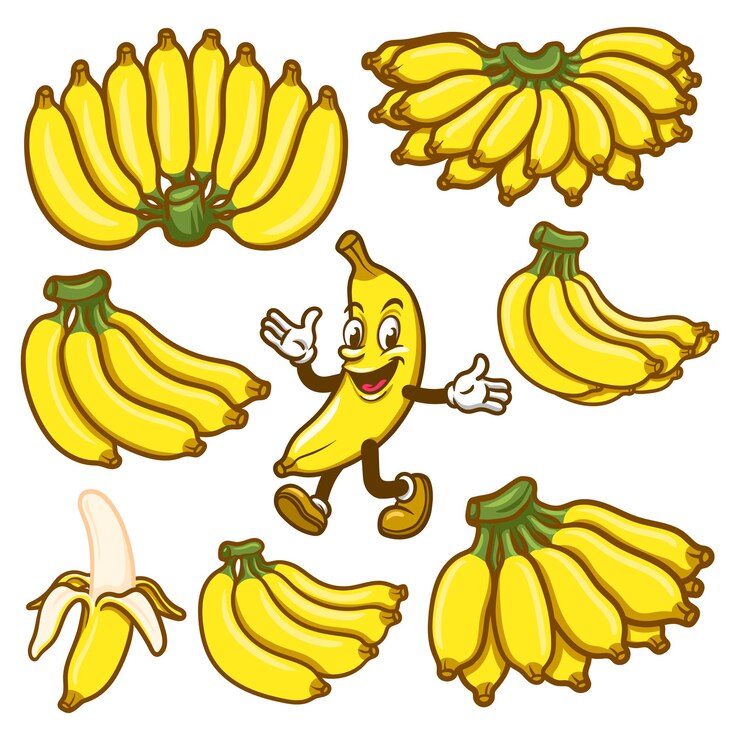 Vector cute mangosteen cartoon illustration for kids and design projects