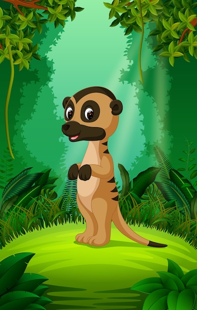 Cute meerkat cartoon in the clear and green forest