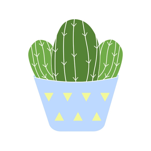 Cute mini cactus plant in a blue pot isolated on white background