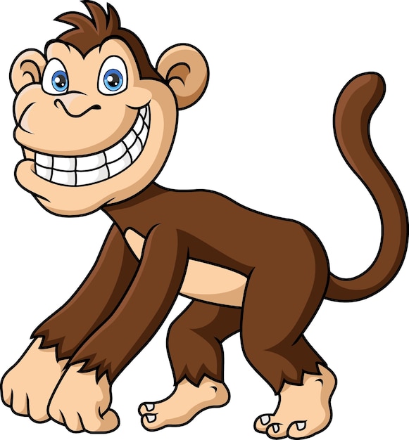 Vector cute monkey cartoon on white background