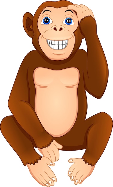 Vettore simpatico cartone animato scimmia su uno sfondo bianco