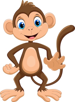 Cartone animato carino scimmia