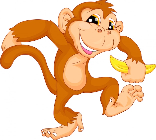 Cute monkey cartoon