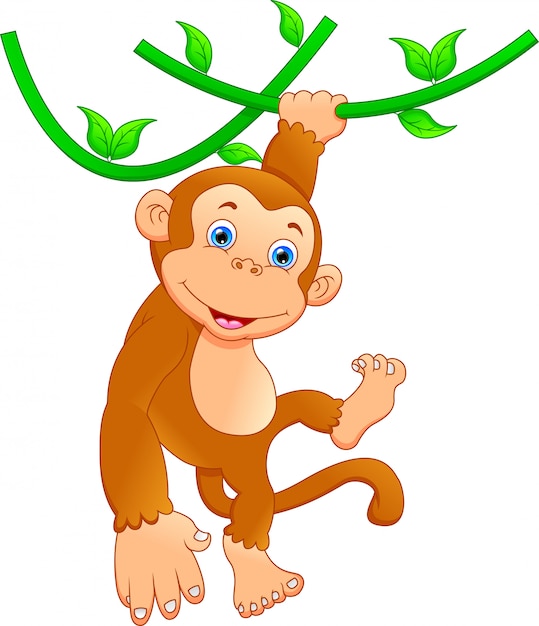 Cute monkey cartoon