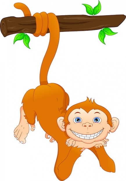 Vector cute monkey cartoon
