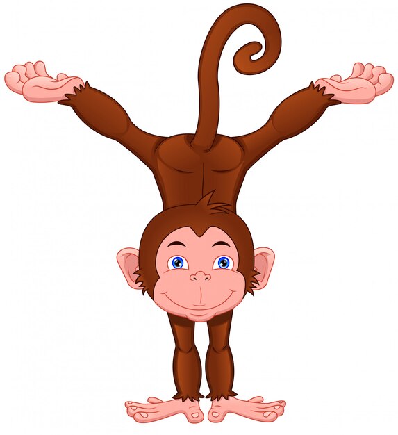 Vector cute monkey cartoon