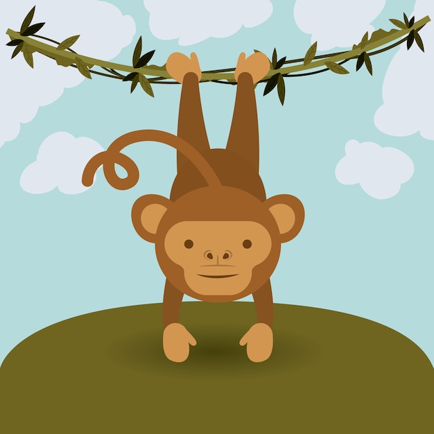 cute monkey  design