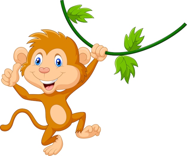 Cute monkey hanging giving thumb up