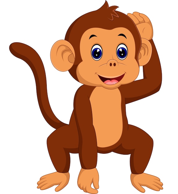 cute monkey