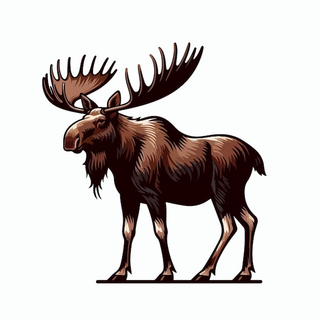 Cute moose cartoon vector on white background