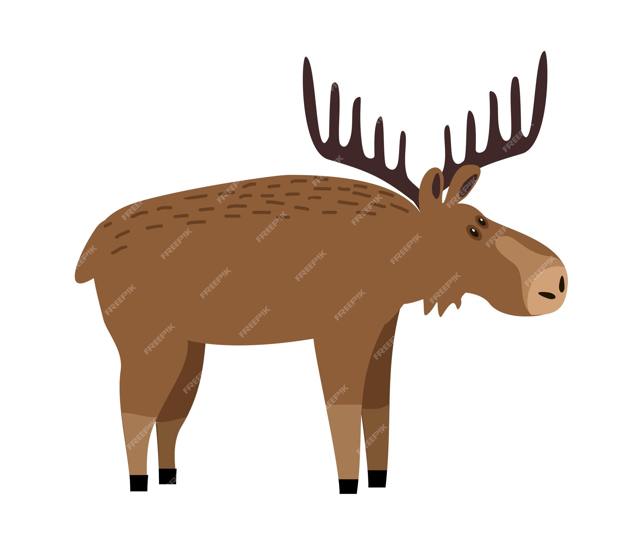 Premium Vector | Cute moose flat illustration. deer, reindeer with big  antlers. woodland animal character. forest fauna. zoo mammal. elk clipart.  postcard, kids book design element