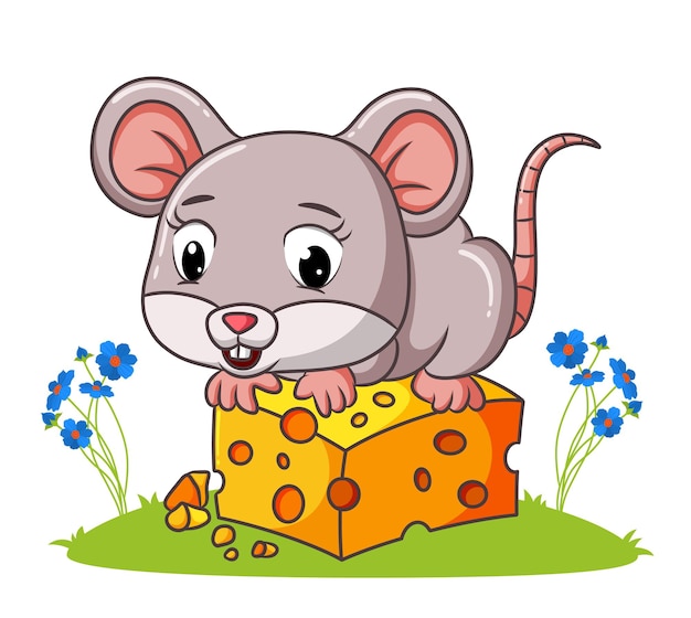 The cute mouse is sitting and eating on the cheese of illustration