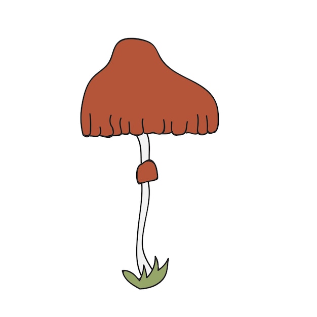 Cute mushroom in doodle style. poisonous mushroom, toadstool. vector